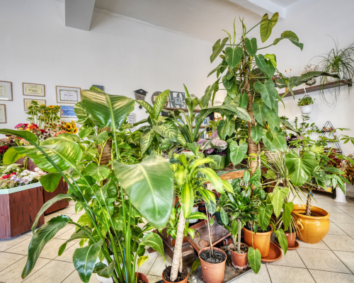 _DSC4831_HDR